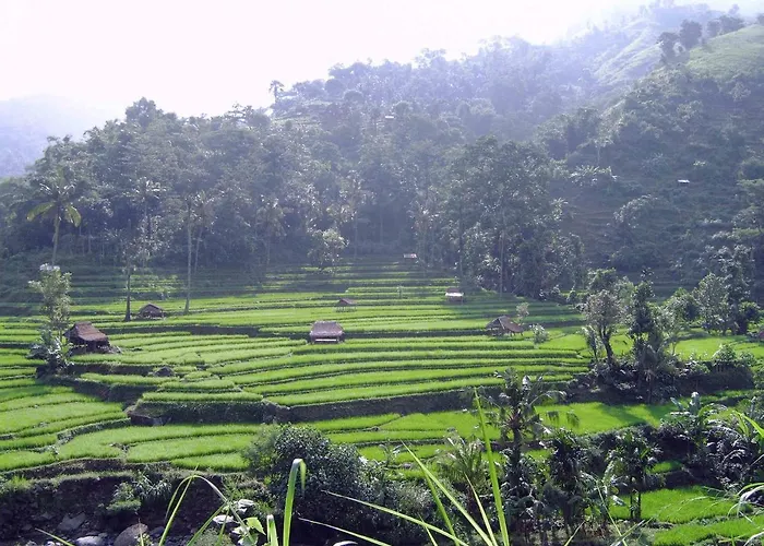 Arjuna Seraya